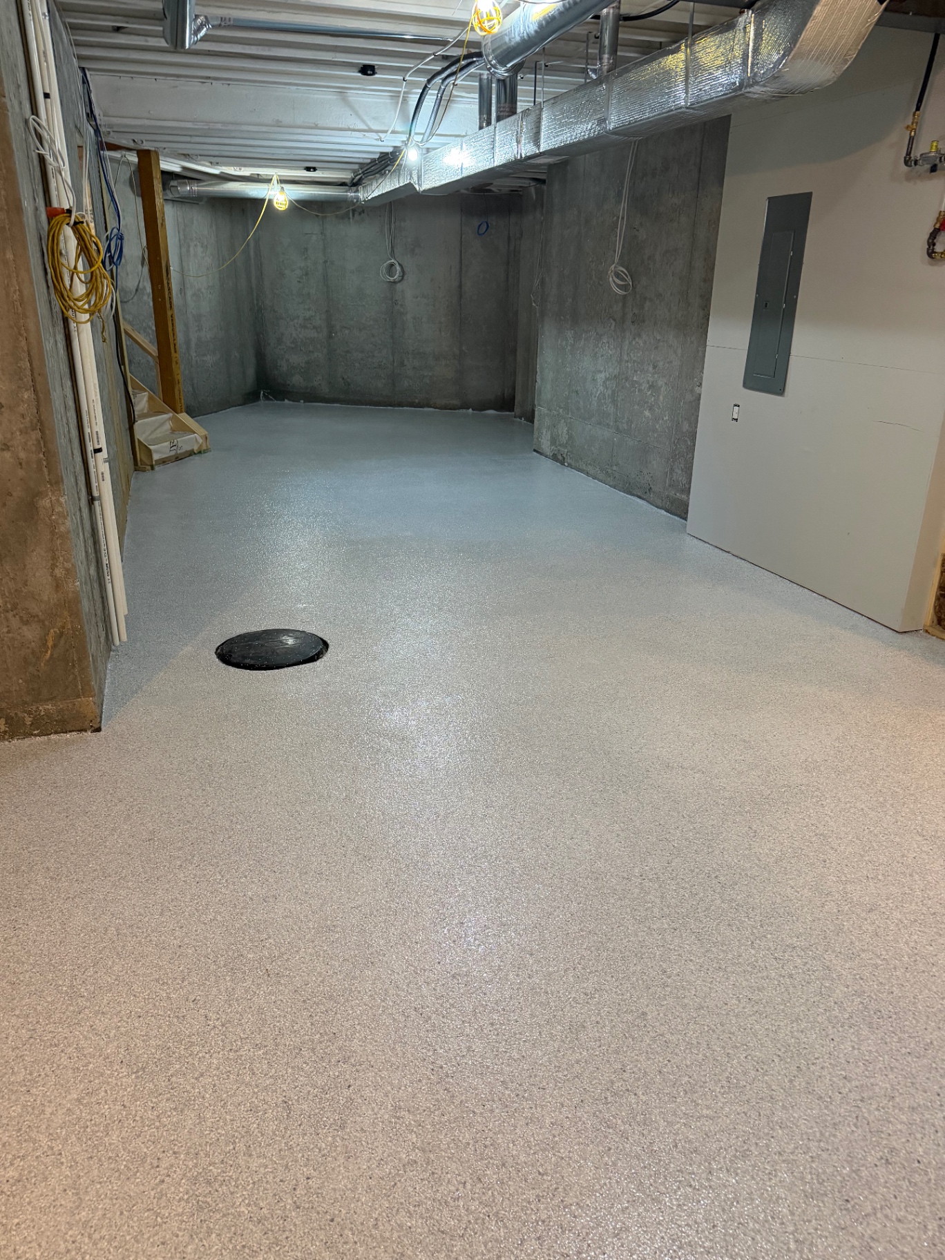 Basement Flake Floor